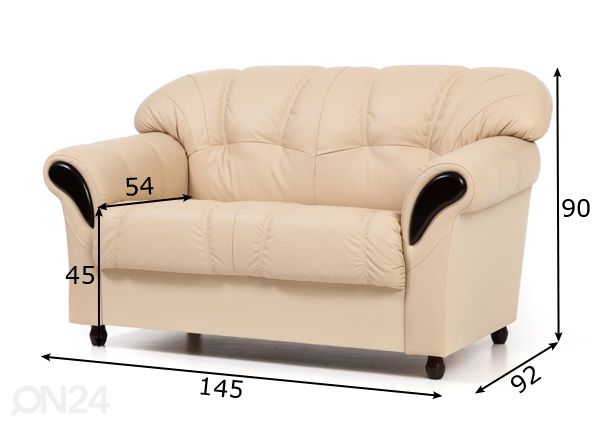 Кожаный 2-местный диван Rosa размеры