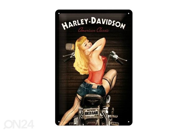 Металлический постер Harley-Davidson Baker Babe 20x30 см