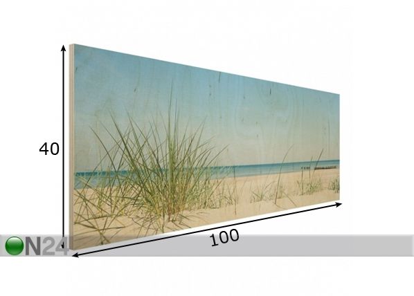 Настенная картина на древесине Baltic Coast 40x100 см размеры