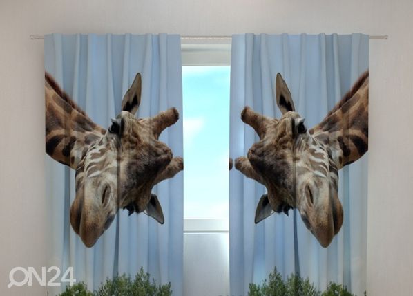 Просвечивающая штора Giraff 240x220 cm