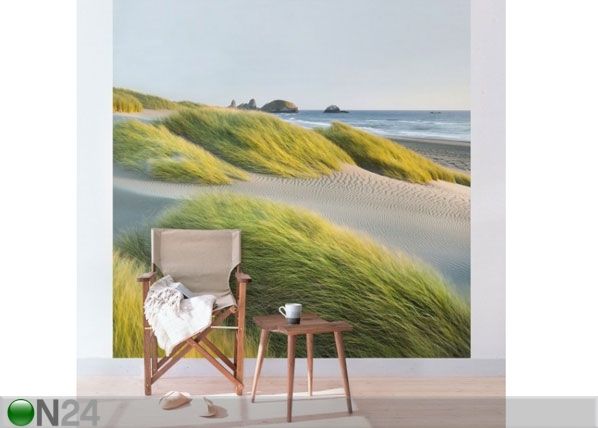 Флизелиновые фотообои Dunes and grasses at the sea
