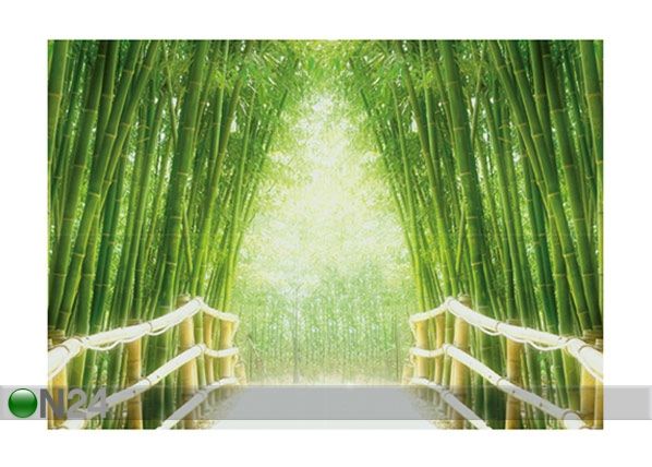 Фотообои Bamboo walk 400x280 см