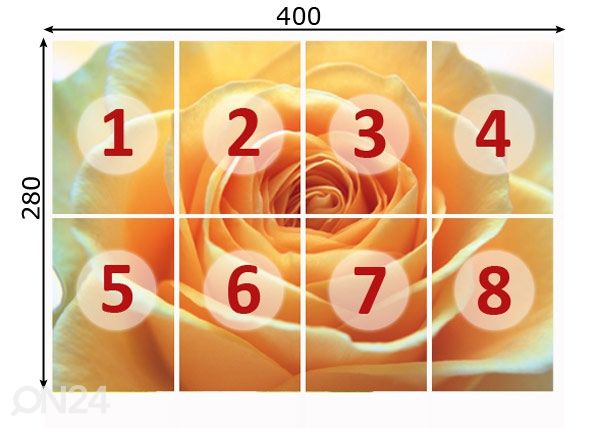 Фотообои The orange rose 400x280 см размеры
