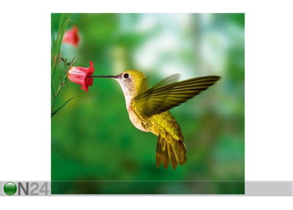 Фотообои Yellow hummingbird 300x280 cm