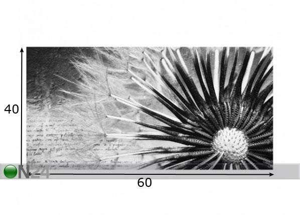 Фотостекло для кухонного фартука Dandelion Black & White 1 40x60 cm размеры