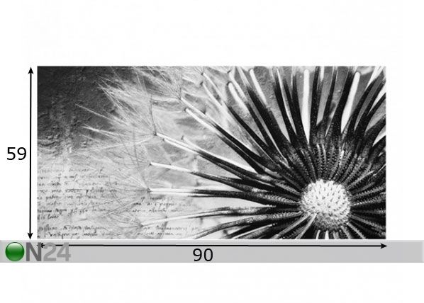 Фотостекло для кухонного фартука Dandelion Black & White 1, 59x90 cm размеры