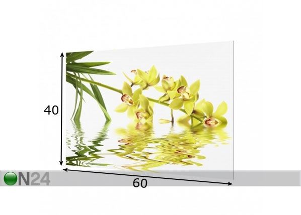 Фотостекло для кухонного фартука Elegant Orchid Waters 40x60 cm размеры