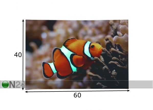 LED картина Clown Fish 60x40 cm, лампочки меняют цвет