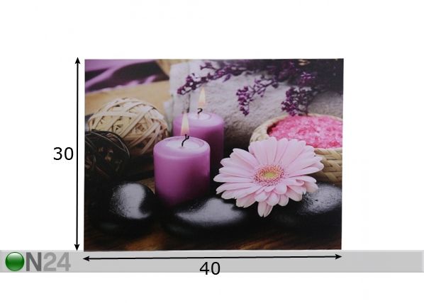 LED настенная картина Gerbera Blossom 30x40 см размеры