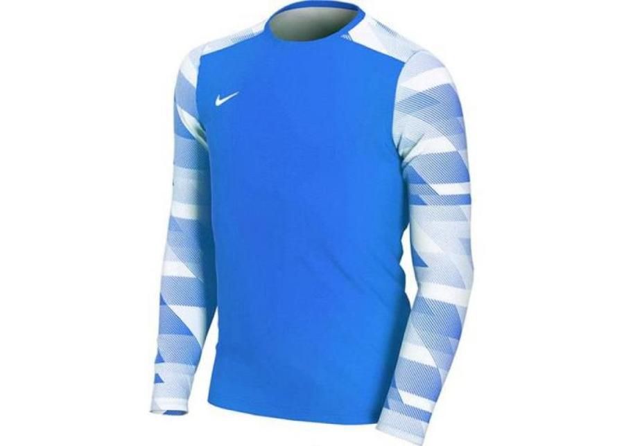Детская вратарская рубашка Nike Dry Park IV JSY LS JR CJ6072-463 увеличить