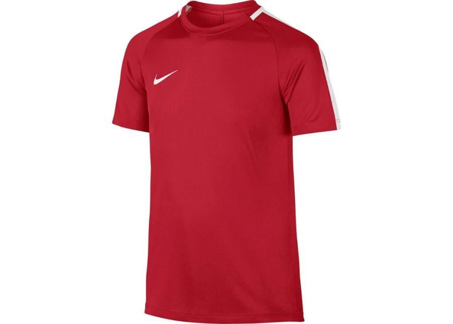 Детская футболка Nike Dry Academy 17 Junior 832969-657 увеличить