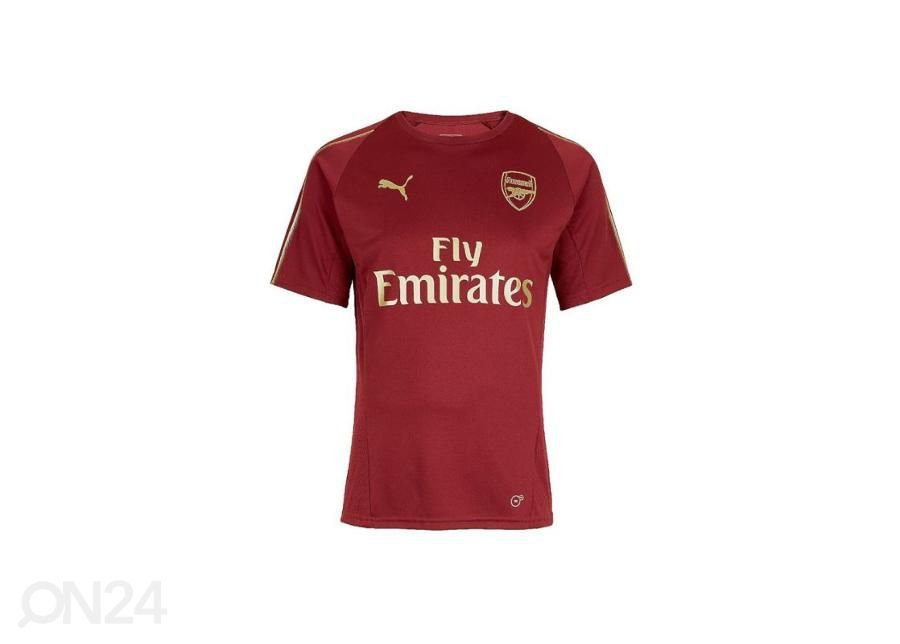 Детская футболка Puma Arsenal FC Training Tee Junior 753267 03 увеличить