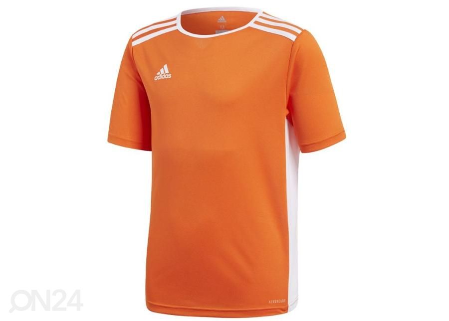 Детская футбольная рубашка Adidas Entrada 18 JSY Y Jr CF1043 увеличить