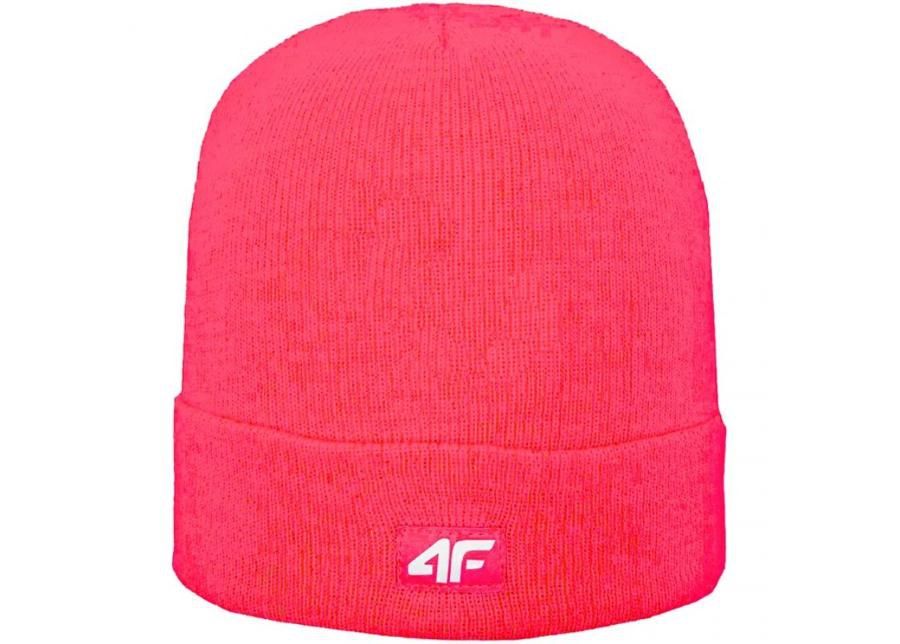 Женская зимняя шапка 4F W X4Z18 CAD200 64S увеличить