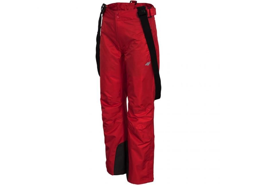 Женские лыжные штаны 4F H4Z19 W SPDN001 62S увеличить