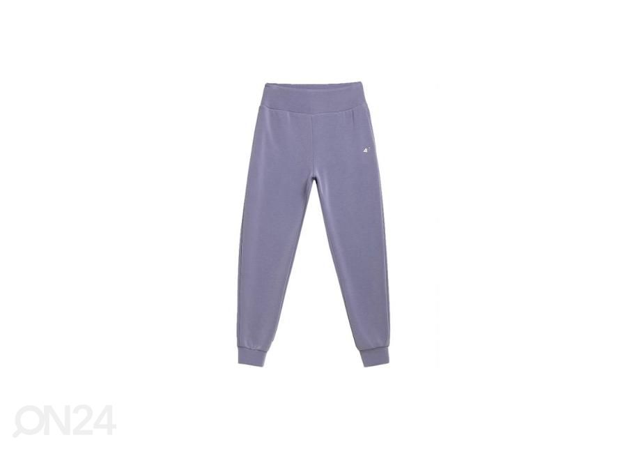 Женские спортивные штаны 4F Women's Sweatpants H4L21-SPDD011 32S увеличить