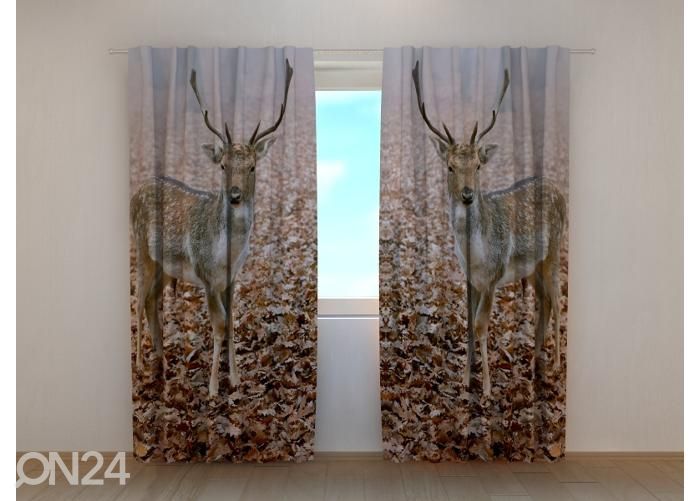 Затемняющая фотоштора Young Deer in Autumn Forest 240x220 см увеличить