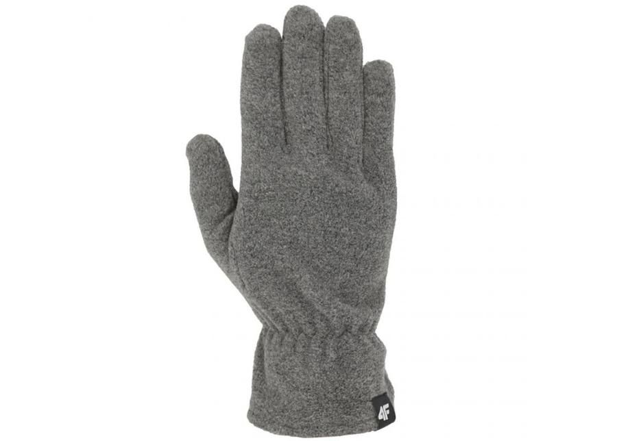 Зимние перчатки 4F H4Z19 REU001 23M увеличить