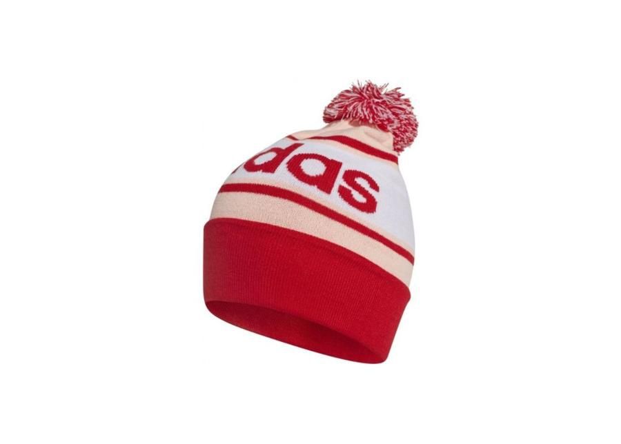 Зимняя шапка Adidas DM1409 увеличить