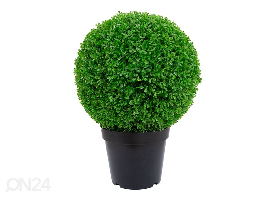 Искусственное дерево Boxwood 60 см увеличить