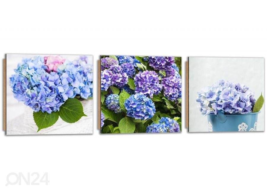 Картина из 3-частей Blue Hydrangeas увеличить