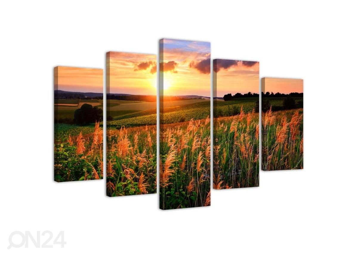 Картина из 5-частей Sunset Over the Meadow 100x70 см увеличить