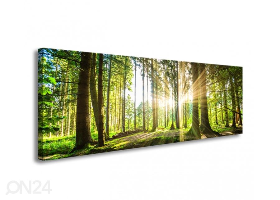 Картина Forest in backlight 120x40 cm увеличить