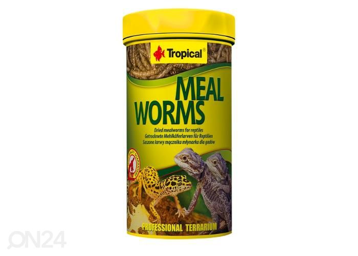Корм для рептилий meal worms, 250 мл увеличить