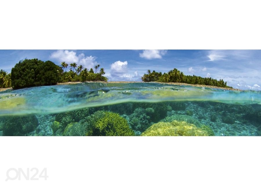 Кухонный фартук Coral Reef 350x60 см увеличить