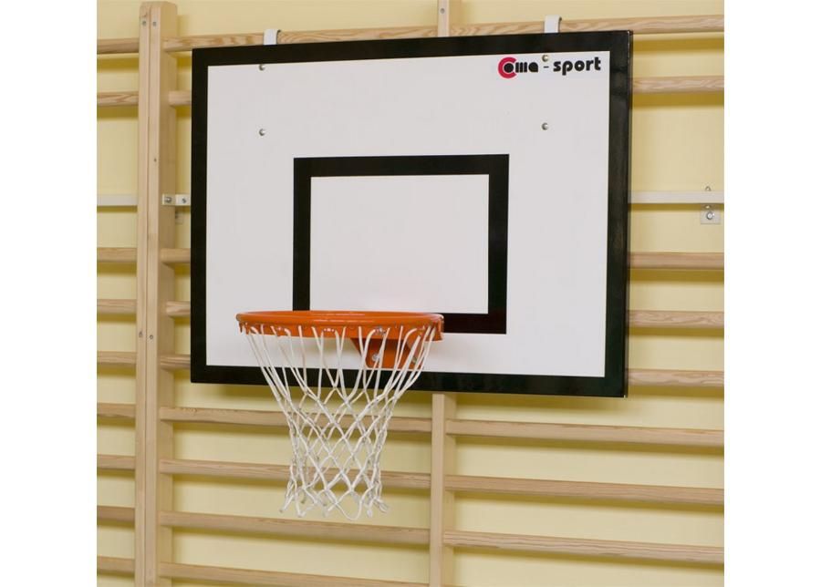 Мини баскетбольный щит с кольцом навесной на шведскую стенку 90x120 см увеличить