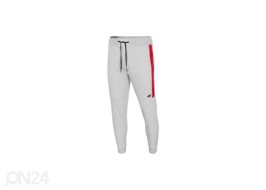Мужские спортивные штаны 4F M H4Z20-SPMD014 увеличить