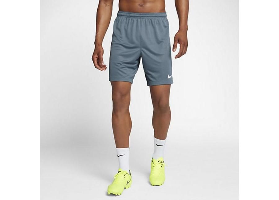 Мужские футбольные шорты Nike Dry Squad M 859908-497 увеличить