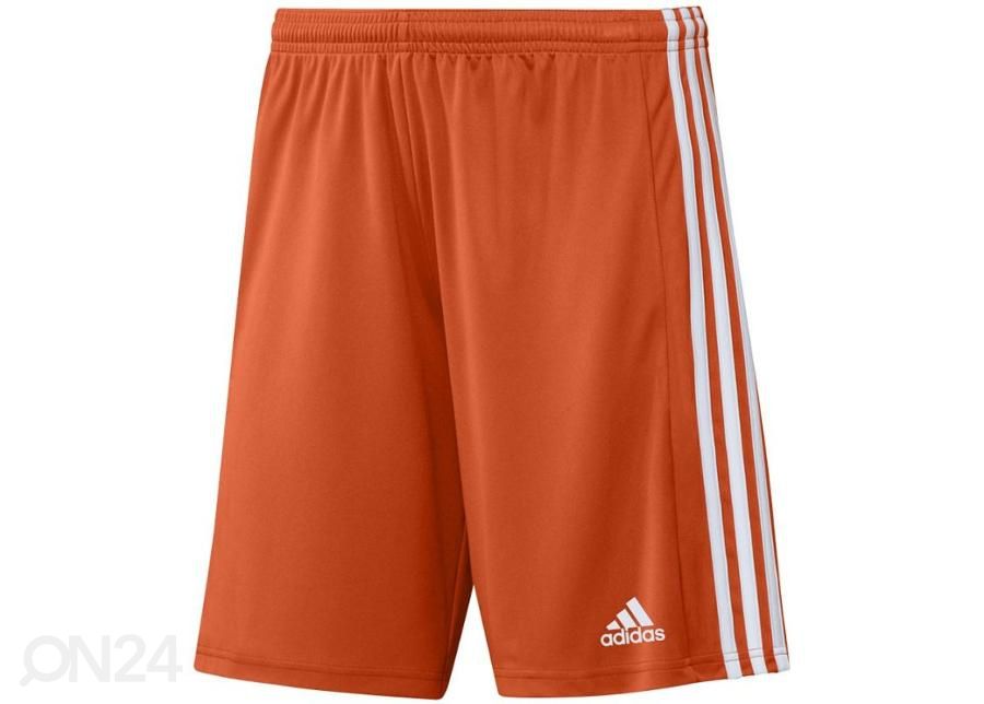 Мужские шорты Adidas Squadra 21 Short увеличить