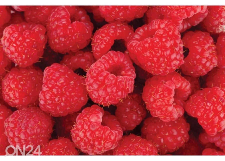Напольная наклейка Raspberries 255x170 см увеличить