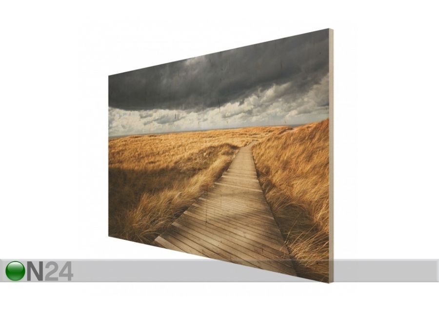 Настенная картина на древесине Pathway Through The Dunes 60x80 см увеличить