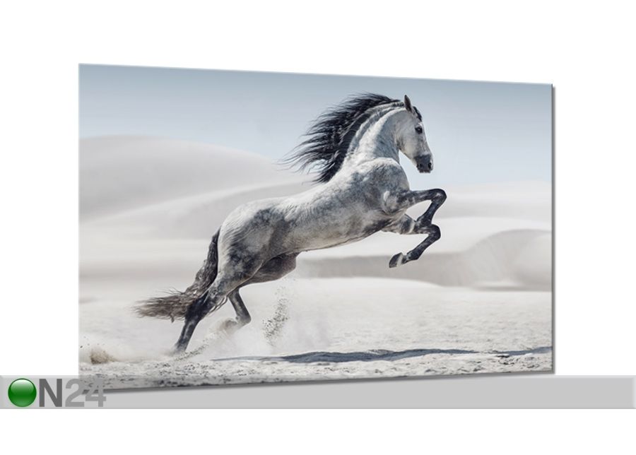 Стеклянная картина Horse 80x120 cm увеличить