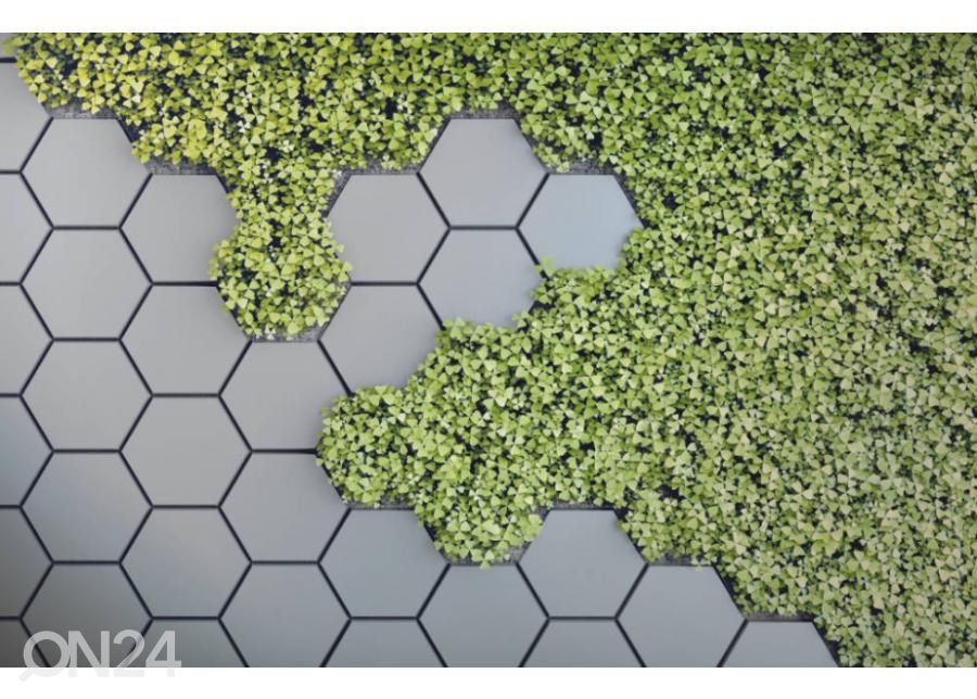 Флизелиновые фотообои 3D Green Vertical Garden 368x254 см увеличить
