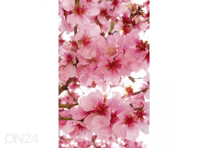 Флизелиновые фотообои Apple blossom 150x250 см увеличить