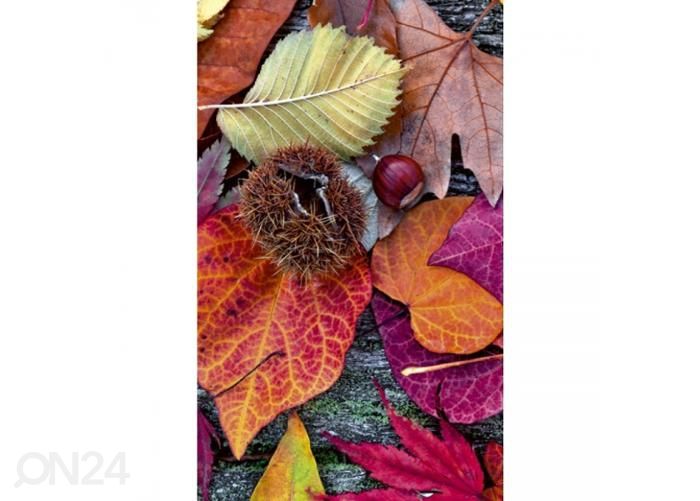 Флизелиновые фотообои Autumn leaves 150x250 см увеличить