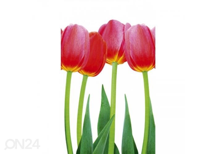 Флизелиновые фотообои Bed of tulips 150x250 см увеличить