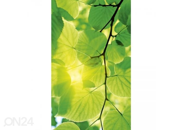 Флизелиновые фотообои Green leaves 150x250 см увеличить