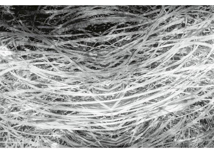 Флизелиновые фотообои Hay Abstract II 150x250 см увеличить