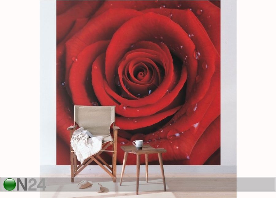 Флизелиновые фотообои Red rose with water drops увеличить