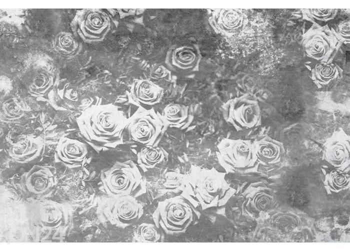 Флизелиновые фотообои Roses Abstract II 150x250 см увеличить