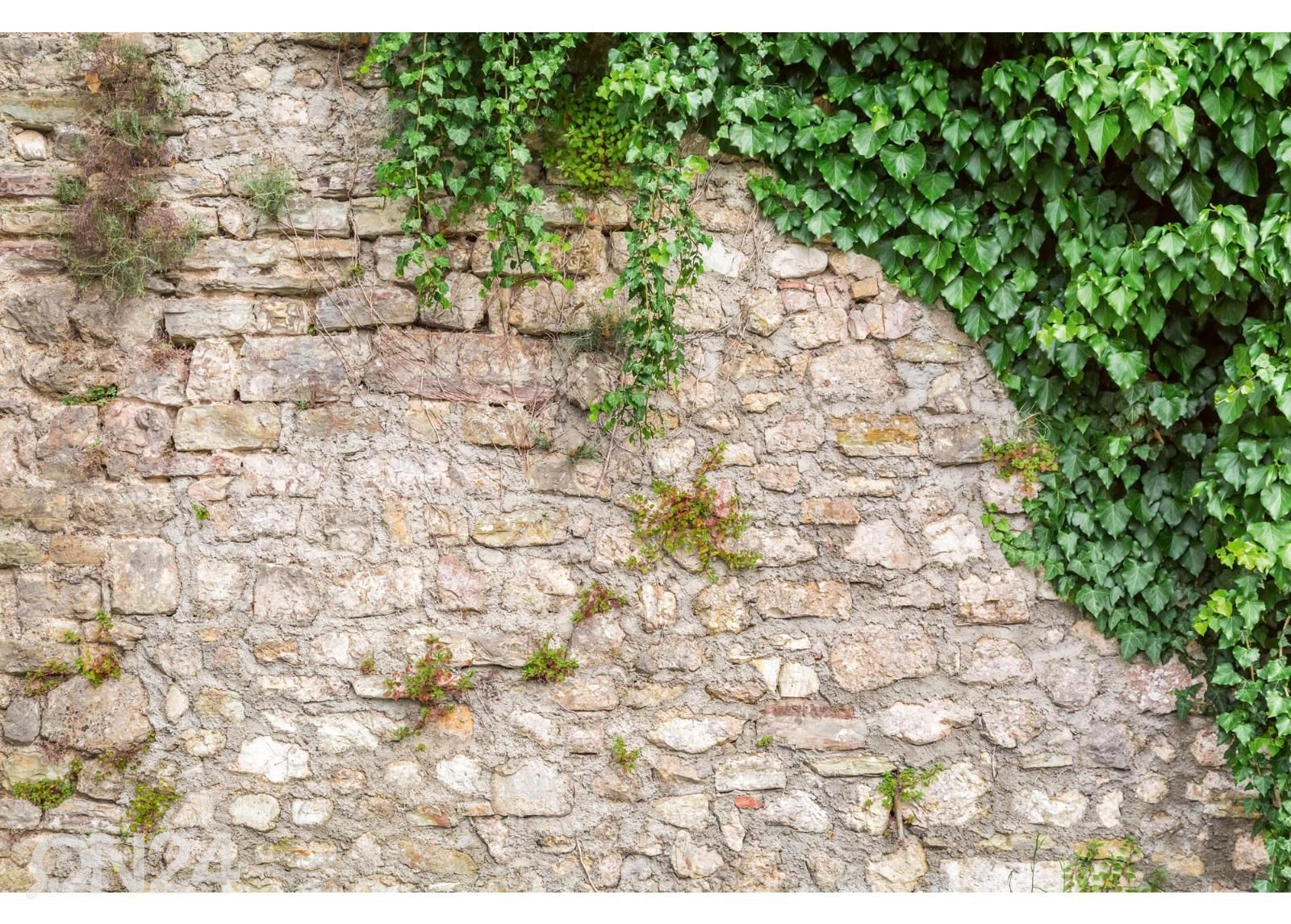 Флизелиновые фотообои Stone Wall With Leaves увеличить