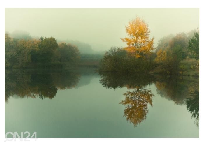 Флизелиновые фотообои Vintage autumn landscape with yellow tree by the river 400x260 см увеличить