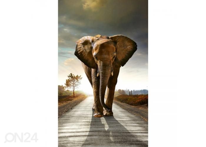 Флизелиновые фотообои Walking elephant 150x250 см увеличить