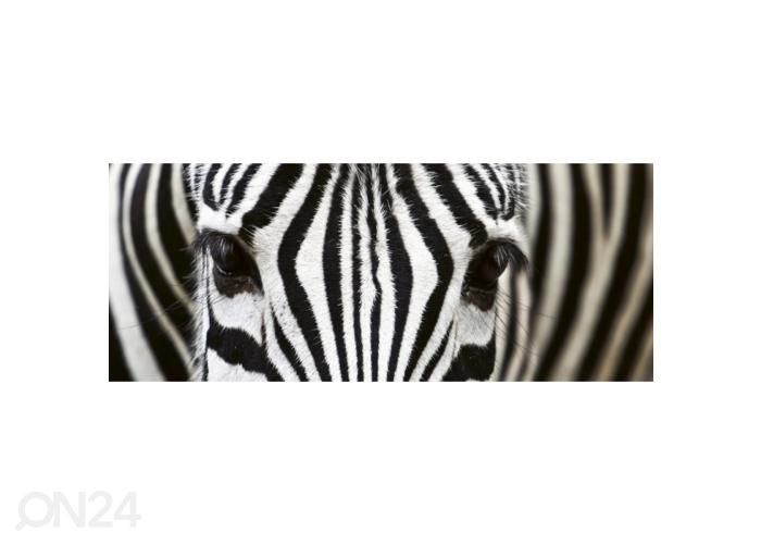 Флизелиновые фотообои Zebra 375x150 см увеличить