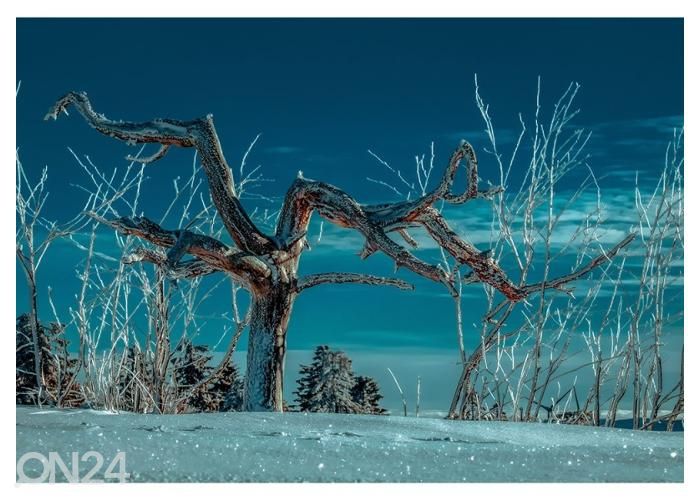 Флисовые фотообои Lonely Winter Night Tree 400x260 см увеличить