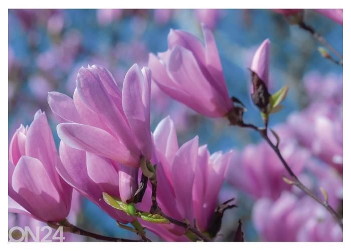 Флисовые фотообои Magnolia Tulip 368x254 см увеличить